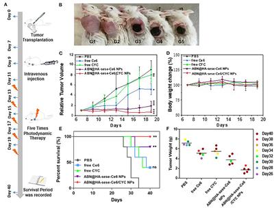 Corrigendum: Programmable Ce6 Delivery via Cyclopamine Based Tumor Microenvironment Modulating Nano-System for Enhanced Photodynamic Therapy in Breast Cancer